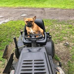 Meet your Posher, Markus